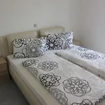 Tadić Apartament Malinska